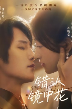 错认镜中花