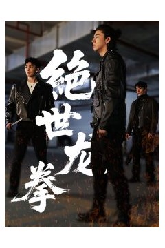 绝世龙拳