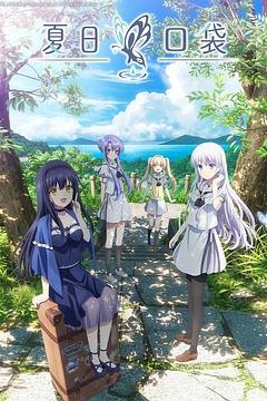 夏日口袋