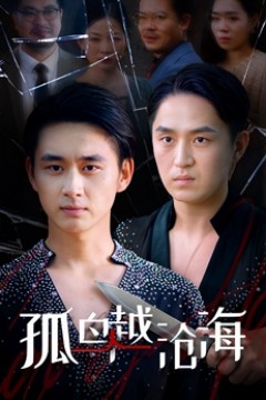 孤鸟越沧海