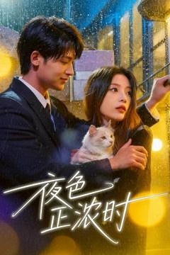 夜色正浓时