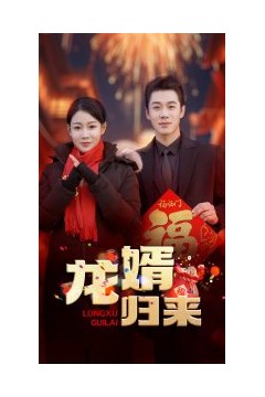 龙婿归来