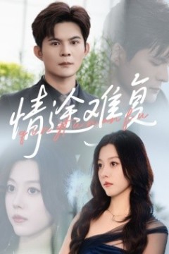 情途难复