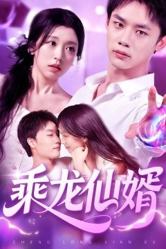 乘龙仙婿