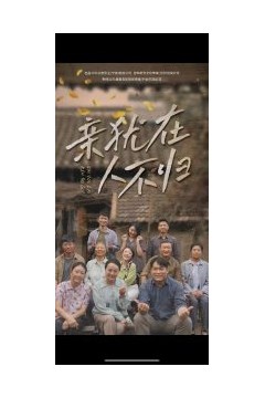 亲犹在人不归
