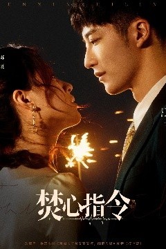 焚心指令