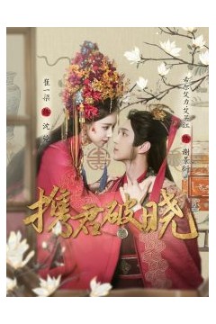 携君破晓