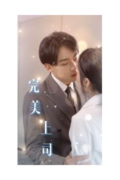完美上司