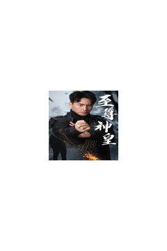 新版：至尊神皇