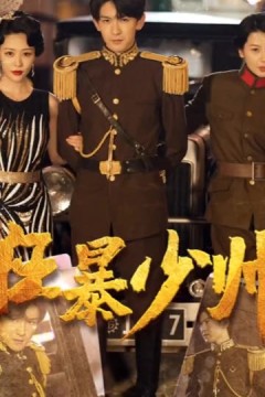 狂暴少帅
