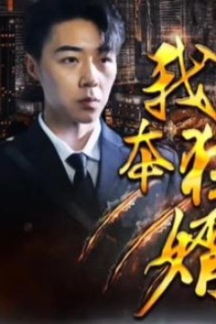 我本狂婿
