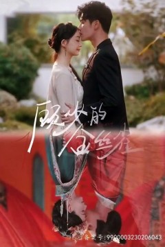 顾总的金丝雀