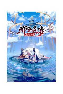 邪王追妻