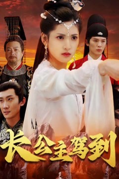 长公主驾到