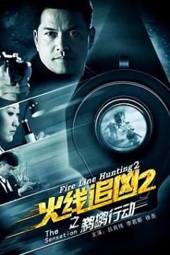 火线追凶2之鹈鹕行动
