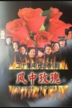风中玫瑰
