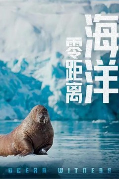 海洋零距离