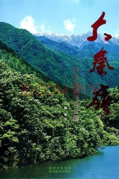 大秦岭