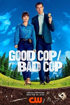 好警察坏警察