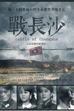 战长沙2014