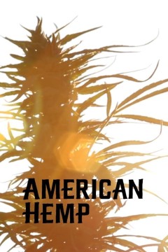 美国大麻