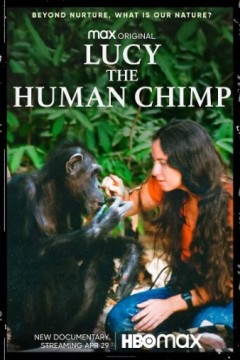 露西，人类黑猩猩