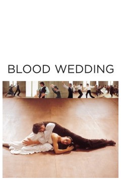 血婚1981