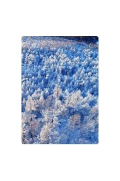 血色雪原