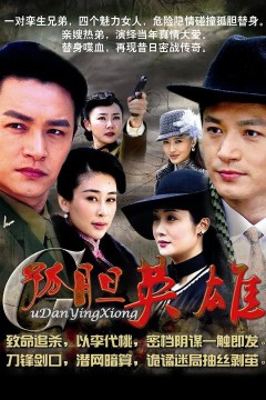 孤胆英雄2013