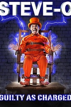 史蒂夫-O：被指控有罪