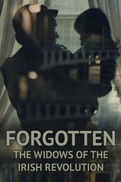 被遗忘的：爱尔兰革命的寡妇