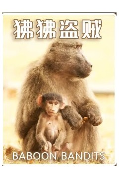 狒狒盗贼