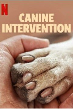 犬类干预