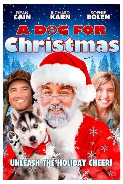 一只狗过圣诞节