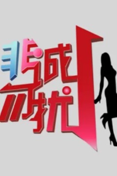 非诚勿扰2024