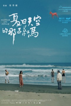 夏日天空的那匹红马2022