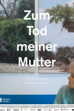 致我母亲的死亡