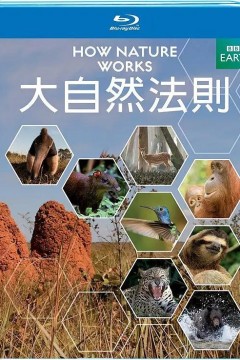 自然的运作
