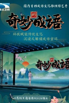奇妙的成语2023