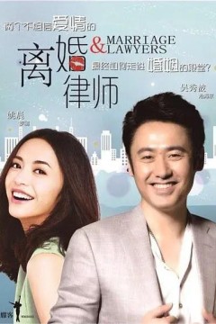 离婚律师2014
