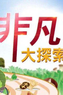 非凡大探索2024