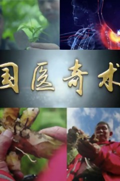 国医奇术