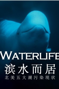 滨水而居——北美五大湖污染现状