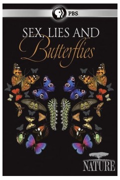 性、谎言和蝴蝶