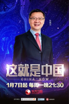 这就是中国2020