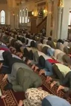 从心审视穆斯林