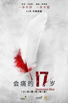 会痛的17岁2015