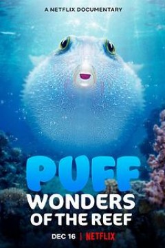 河豚之家神奇的珊瑚礁