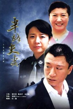 半路夫妻