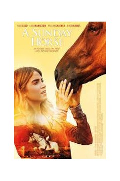 星期日的马